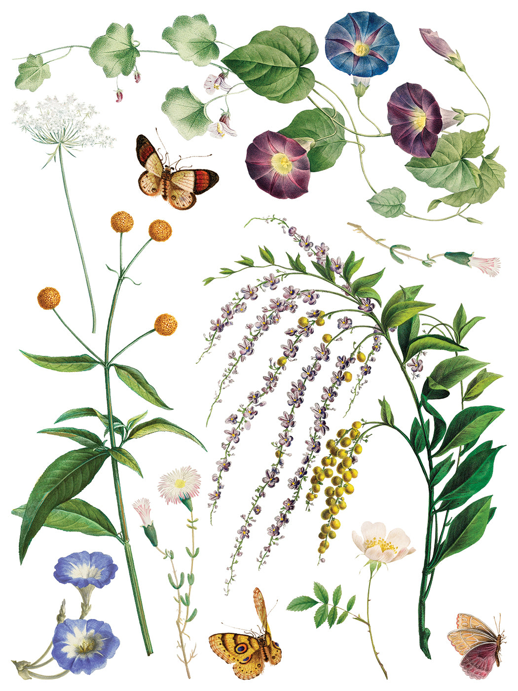 Iron Orchid Designs - Marche des Fleurs Decor Transfer Pad