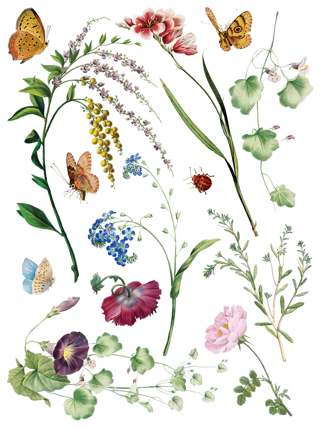 Iron Orchid Designs - Marche des Fleurs Decor Transfer Pad