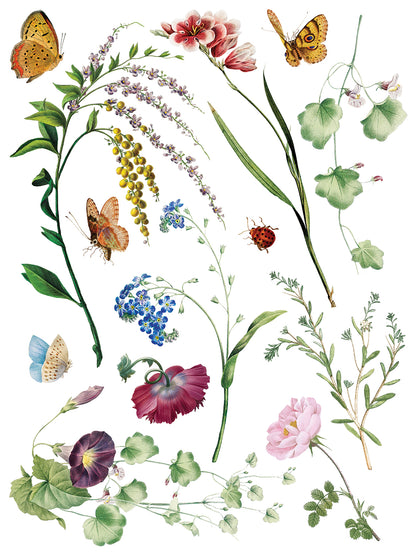 Iron Orchid Designs - Marche des Fleurs Decor Transfer Pad