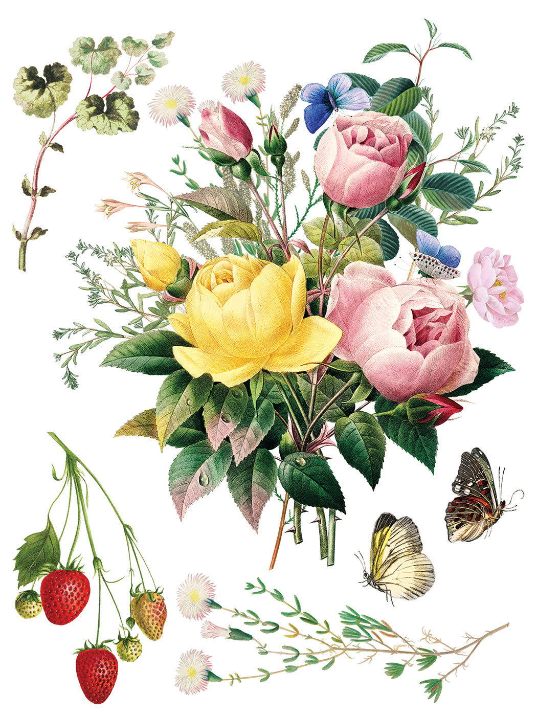 Iron Orchid Designs - Marche des Fleurs Decor Transfer Pad