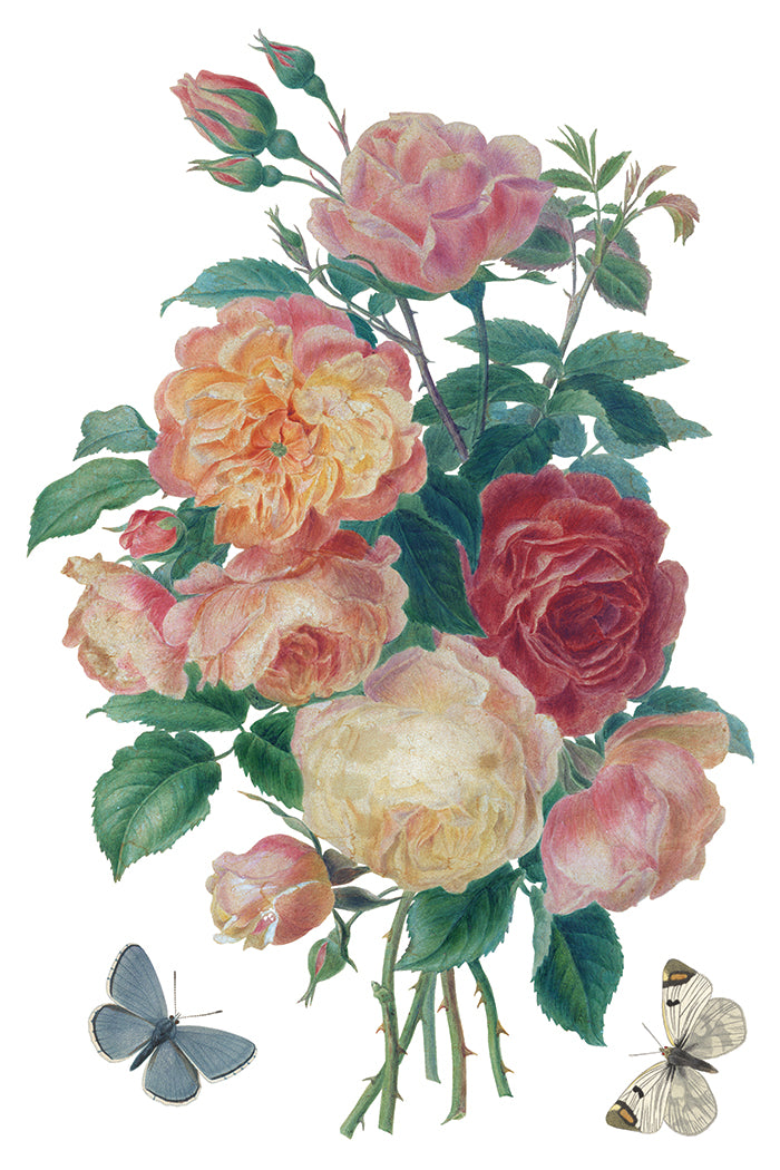 Iron Orchid Designs - Saint Ouen Decor Transfer Pad