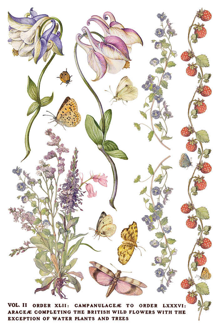 Iron Orchid Designs - Primrose Isle Decor Transfer Pad