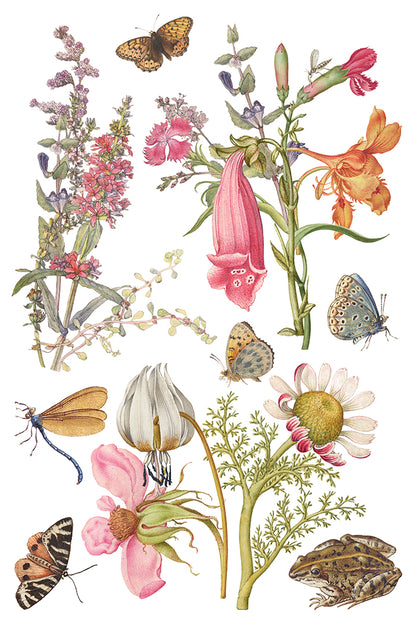 Iron Orchid Designs - Primrose Isle Decor Transfer Pad