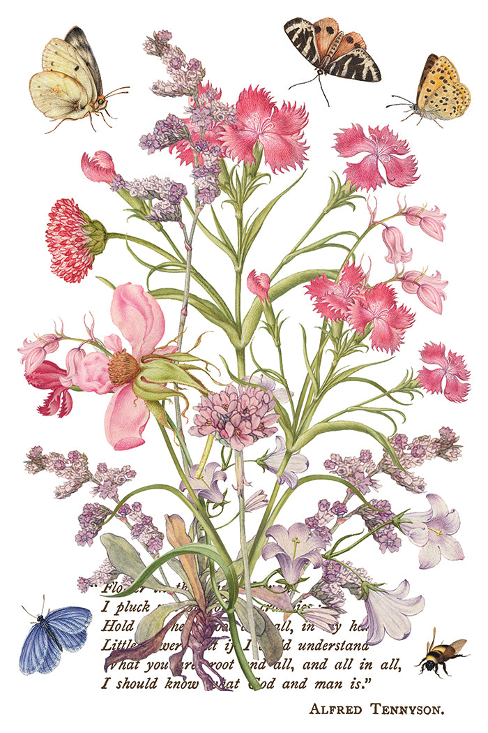Iron Orchid Designs - Primrose Isle Decor Transfer Pad