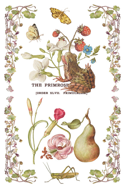Iron Orchid Designs - Primrose Isle Decor Transfer Pad
