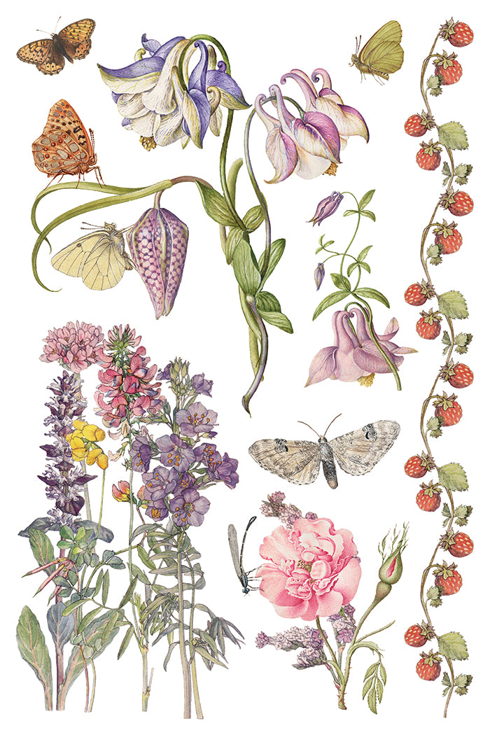 Iron Orchid Designs - Primrose Isle Decor Transfer Pad