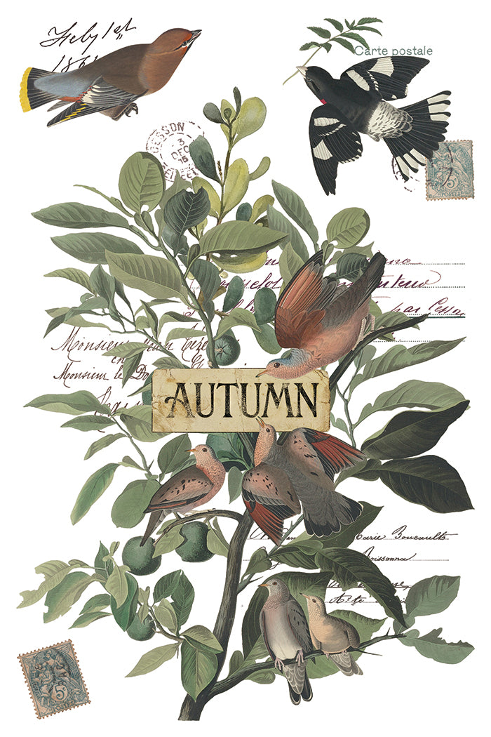 Iron Orchid Designs - Winter's Calling Decor Transfer Pad