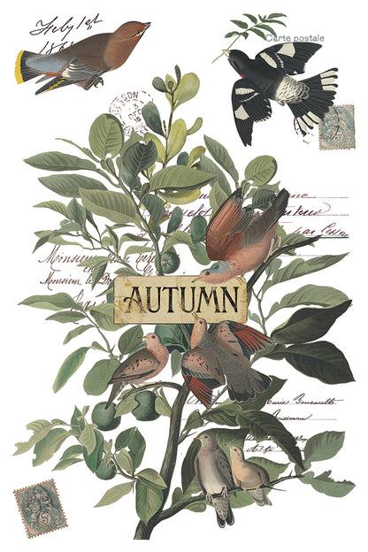 Iron Orchid Designs - Winter's Calling Decor Transfer Pad