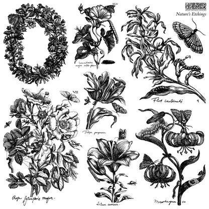 Iron Orchid Designs - Nature's Etchings Decor Stamp