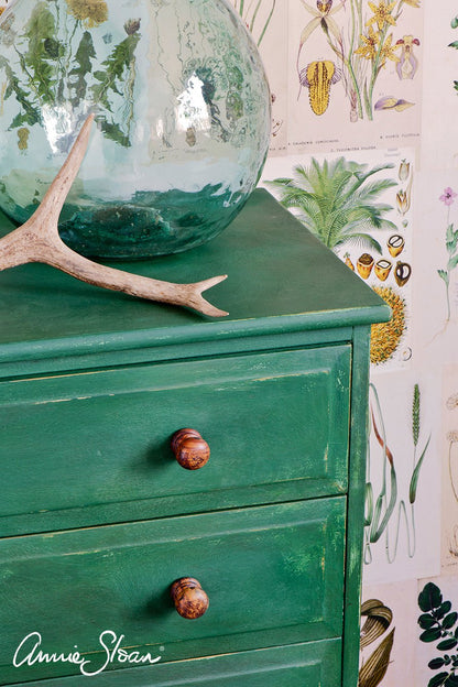 Annie Sloan CHALK PAINT™ - Amsterdam Green - Rustic River Home