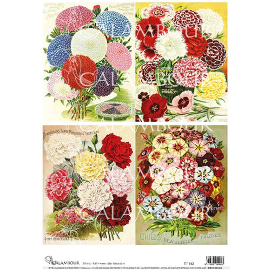 Calambour - Asters and Carnations - A4 Decoupage Paper - Rustic River Home