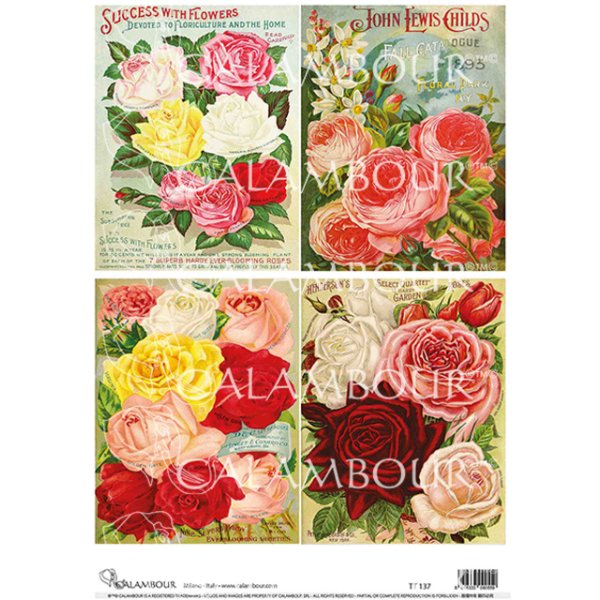 Calambour - Beautiful Open Roses - A4 Decoupage Paper - Rustic River Home