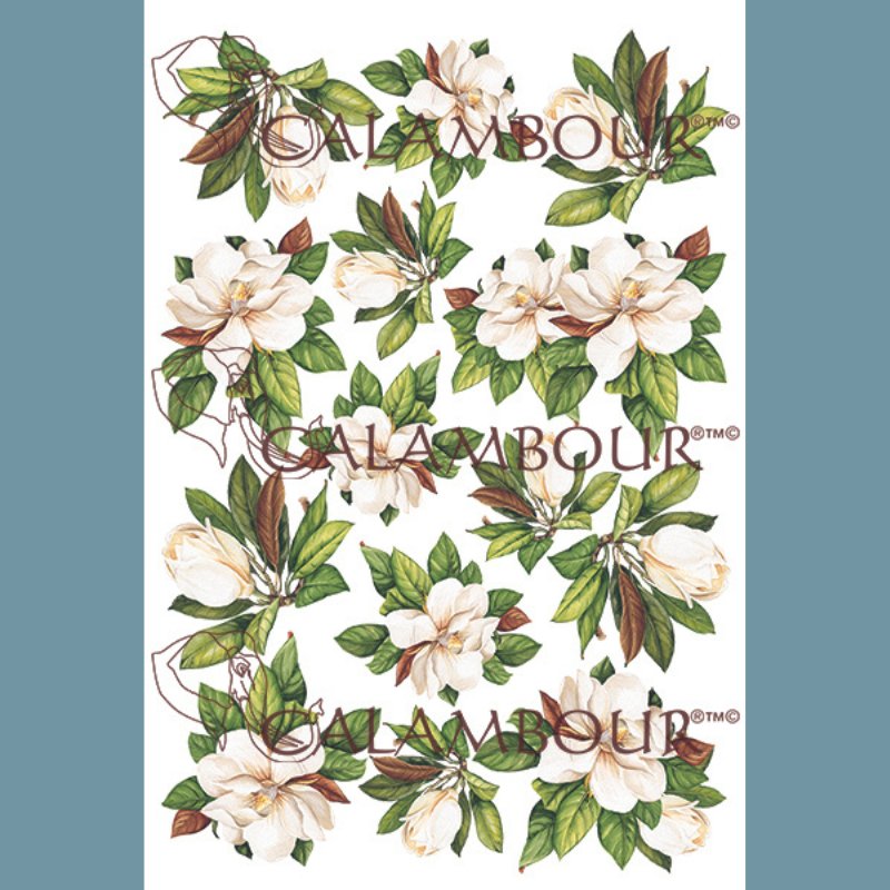 Calambour - Magnolia Flowers Decoupage Paper - Rustic River Home