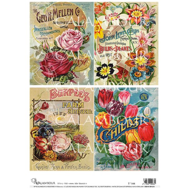 Calambour - Mellen Burpees Childs Florals - A4 Decoupage Paper - Rustic River Home