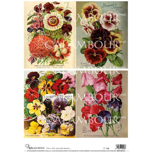 Calambour - Pansies and Sweet Peas - A4 Decoupage Paper - Rustic River Home