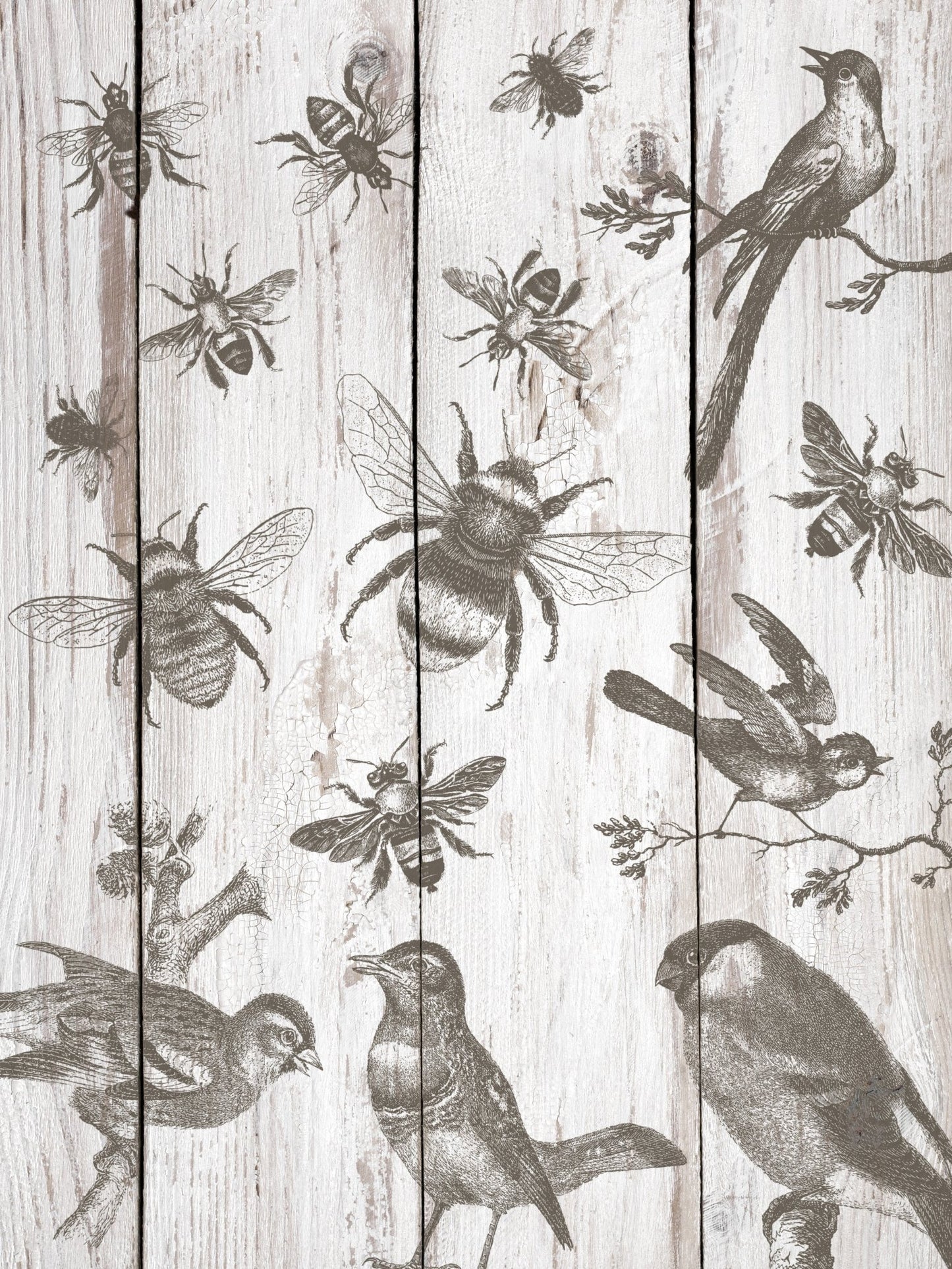 Iron Orchid Designs - Birds & Bees Decor Stamp - Rustic River Home