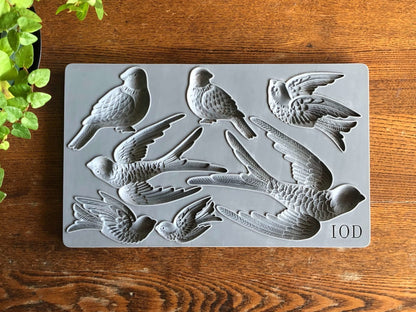 Iron Orchid Designs - Birdsong Decor Mould - Rustic River Home