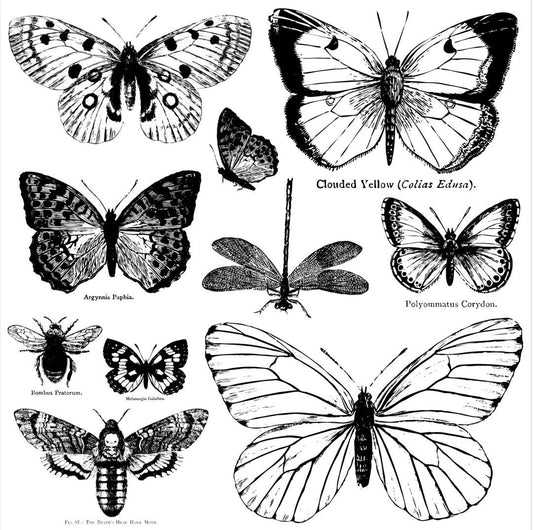 Iron Orchid Designs - Butterflies Stamp - Rustic River Home