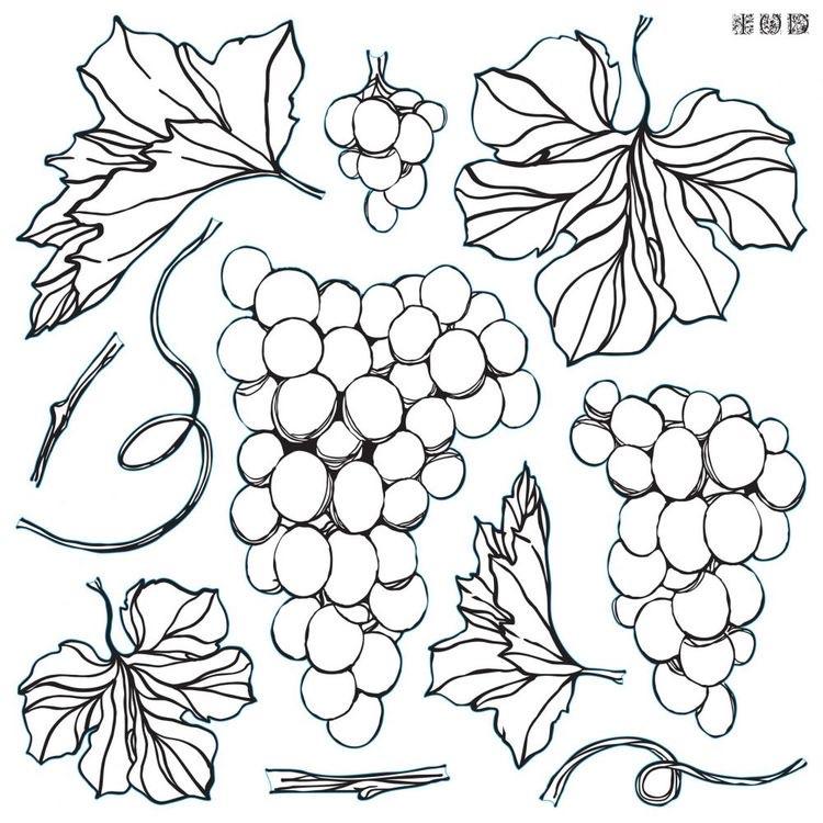 Iron Orchid Designs - Grapes Decor Stamp - Rustic River Home