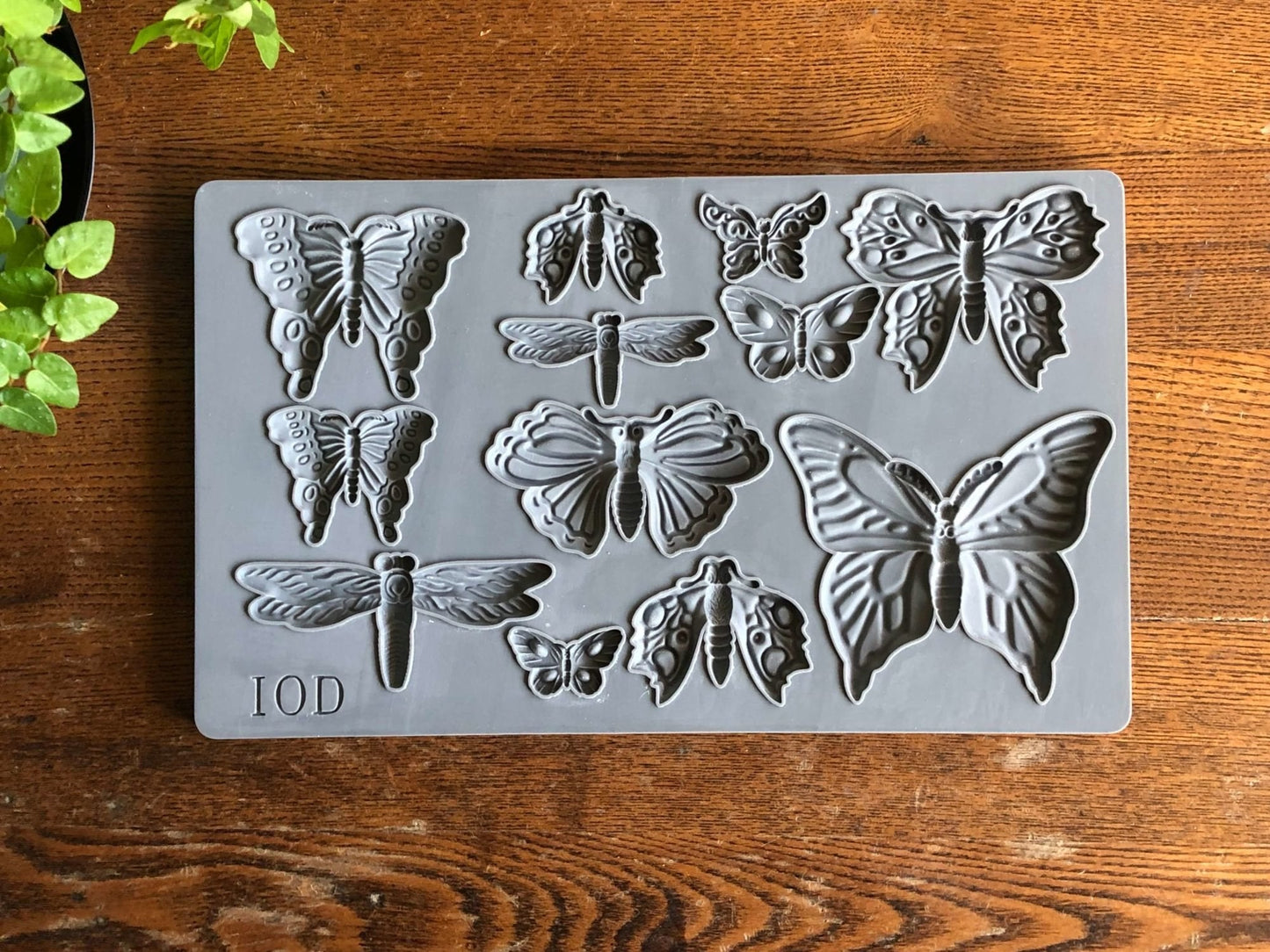 Iron Orchid Designs - Monarch Decor Mould - Rustic River Home