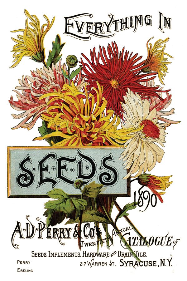 Iron Orchid Designs - Seeds Catalogue Decor Transfer Pad - Rustic River Home