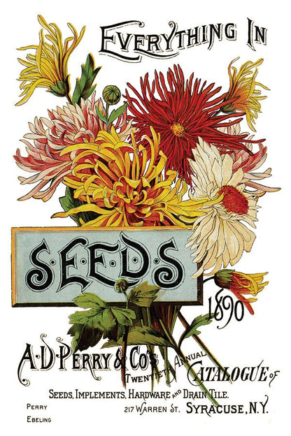 Iron Orchid Designs - Seeds Catalogue Decor Transfer Pad - Rustic River Home