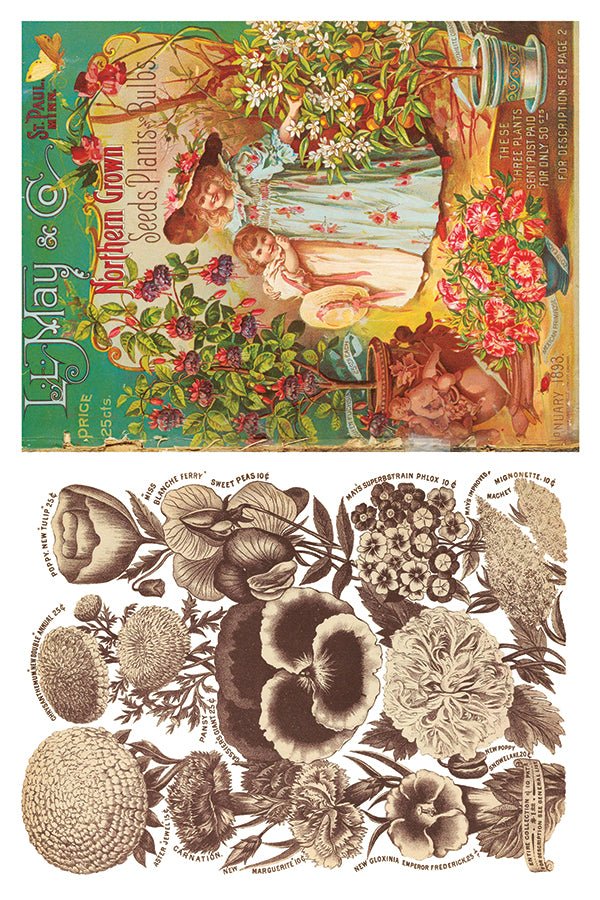 Iron Orchid Designs - Seeds Catalogue Decor Transfer Pad - Rustic River Home