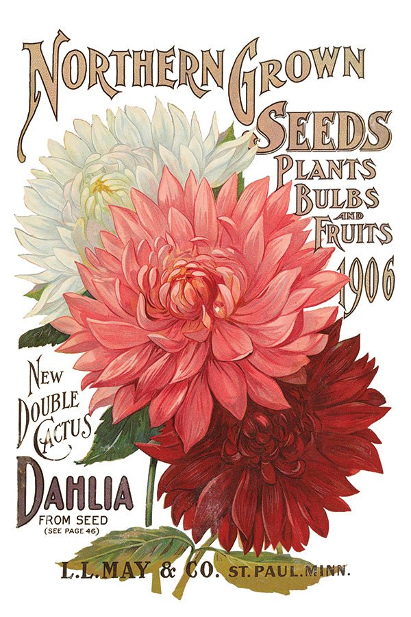 Iron Orchid Designs - Seeds Catalogue Decor Transfer Pad - Rustic River Home