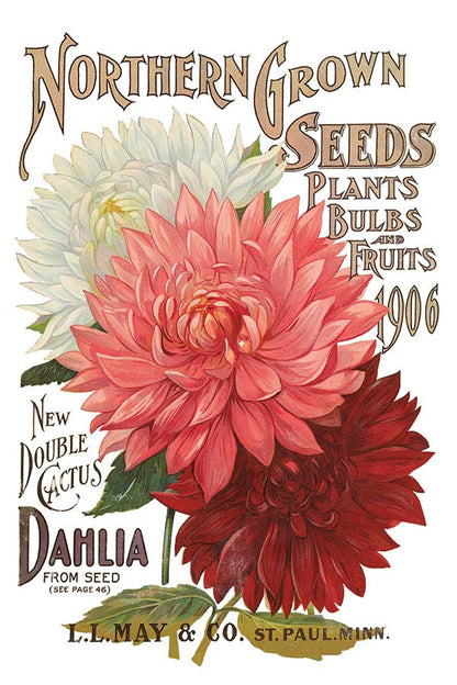 Iron Orchid Designs - Seeds Catalogue Decor Transfer Pad - Rustic River Home