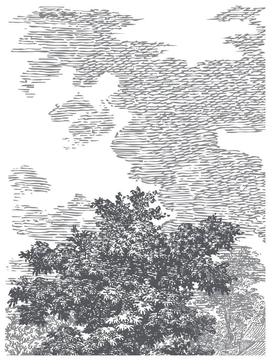 Iron Orchid Designs - Summer Villa Paint Inlay - Rustic River Home