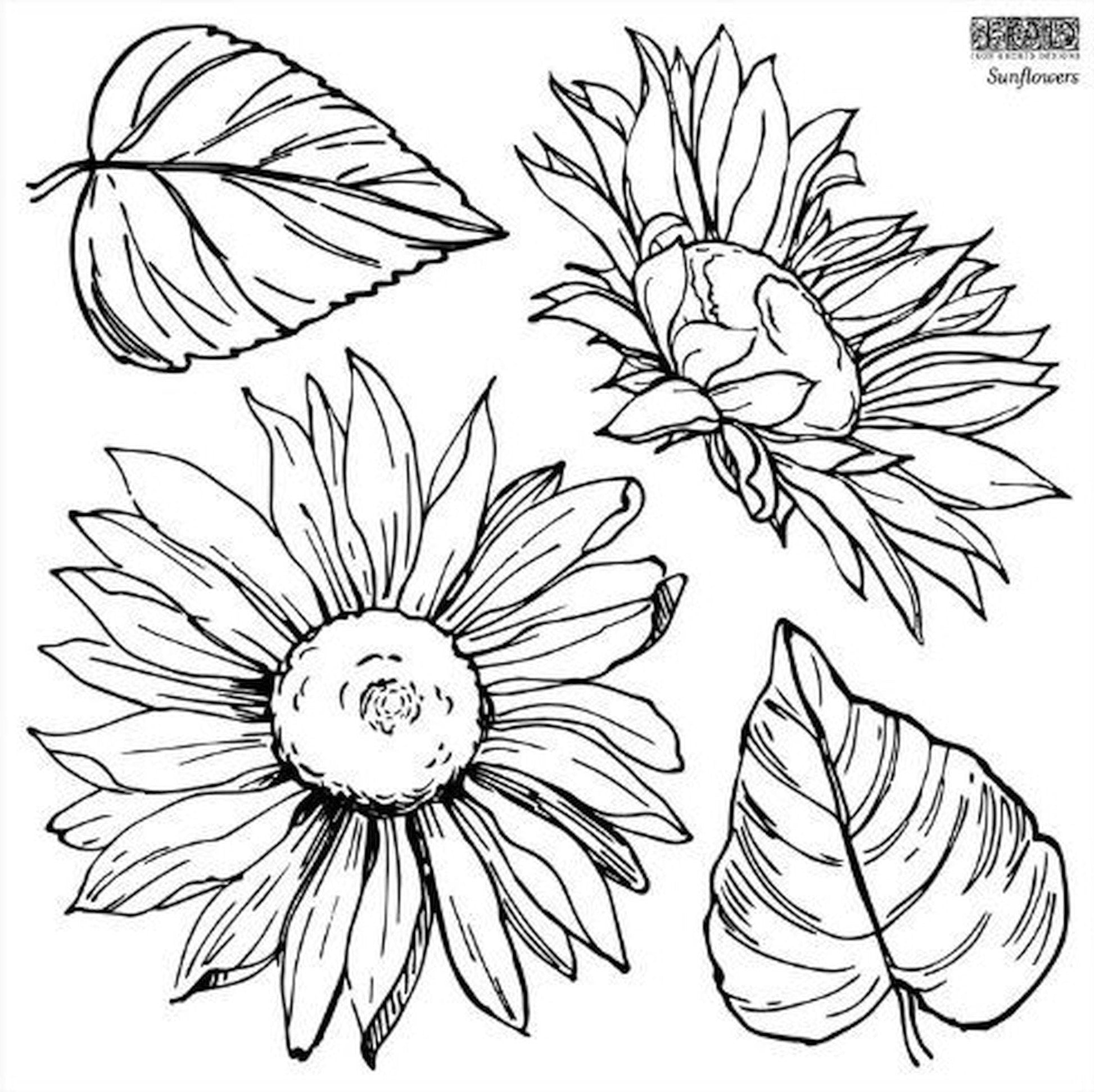 Iron Orchid Designs - Sunflowers Decor Stamp - Rustic River Home