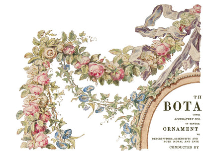 Iron Orchid Designs - The Botanist Decor Transfer Pad - Rustic River Home