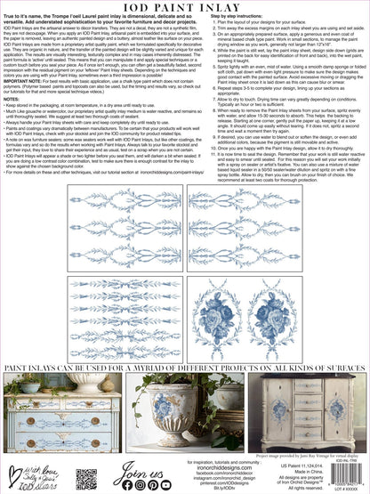 Iron Orchid Designs - Trompe L'Oeil Bleu Paint Inlay - Rustic River Home
