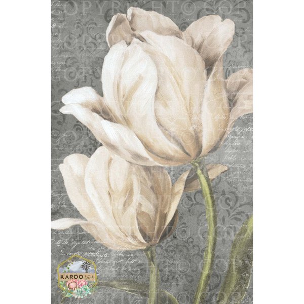 Karoo Sjiek Decoupage Paper - KSFP100 - Rustic River Home