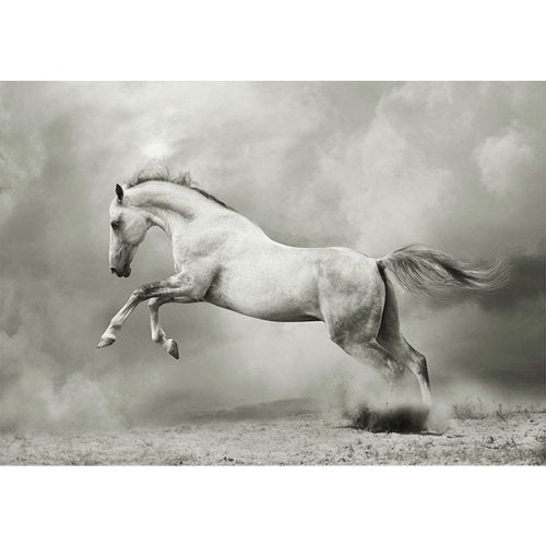 Mint by Michelle - Decoupage Paper - White Horse - Rustic River Home