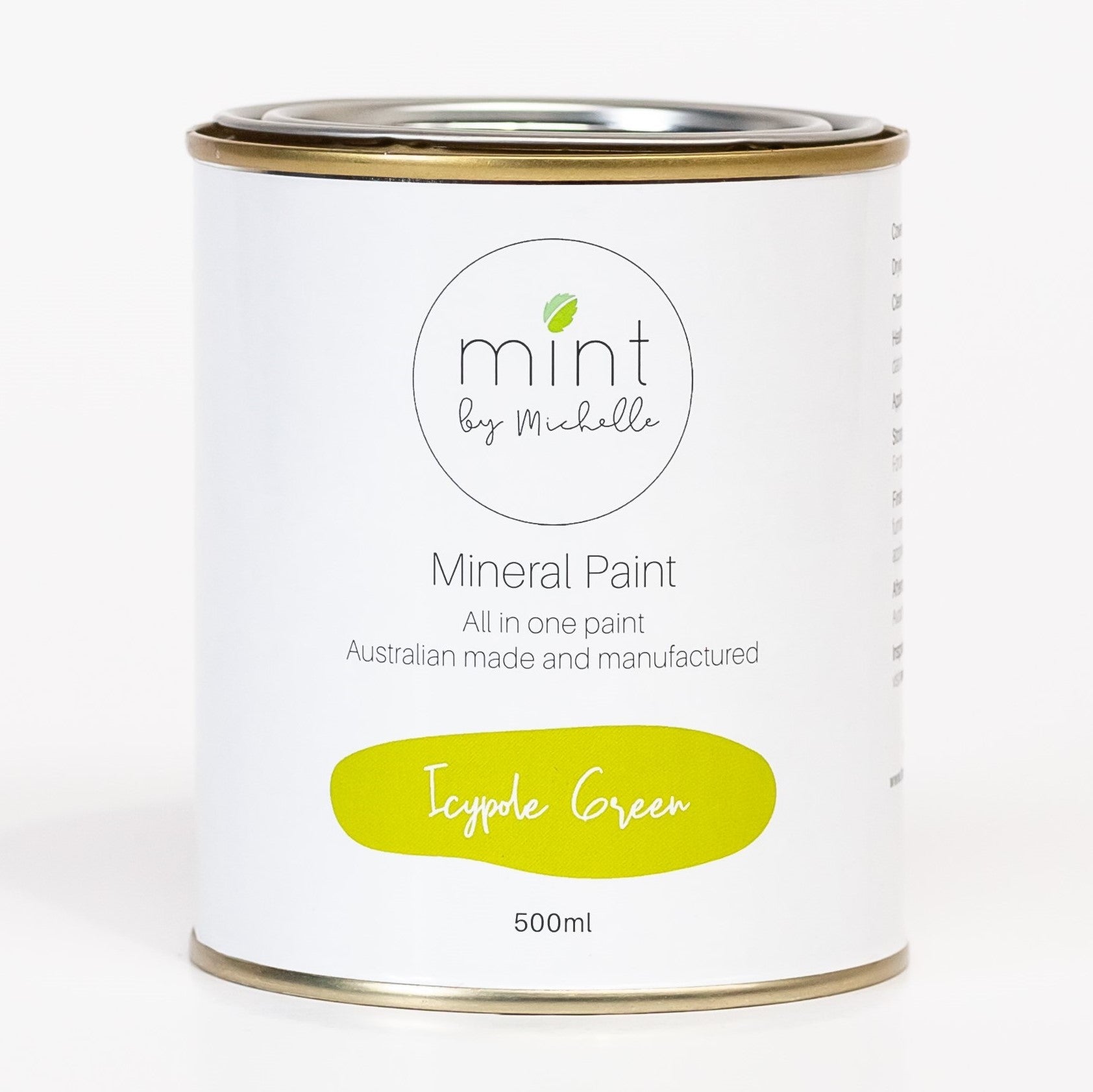 Mint Mineral Paint - Icypole Green - 500ml - Rustic River Home