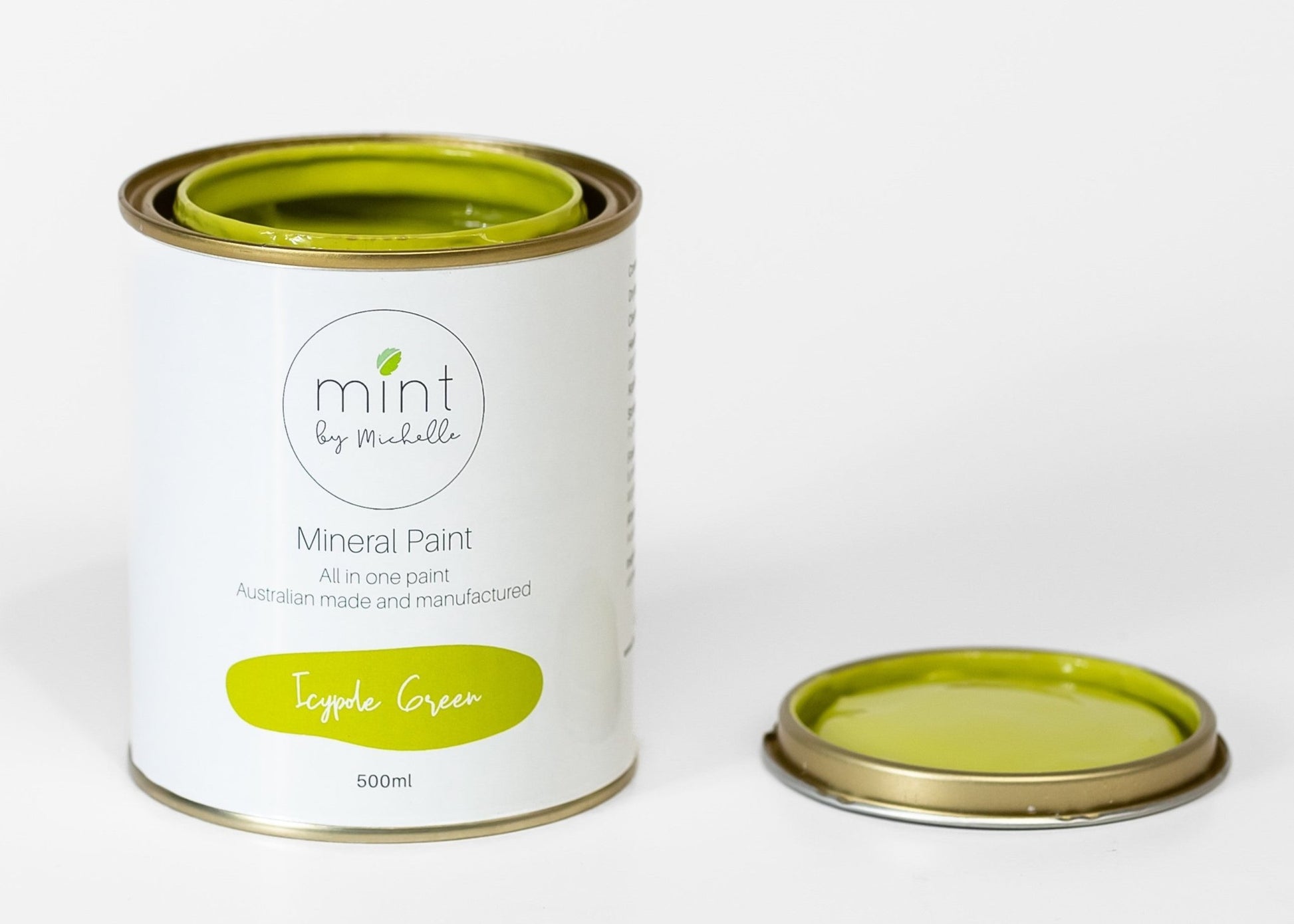 Mint Mineral Paint - Icypole Green - 500ml - Rustic River Home
