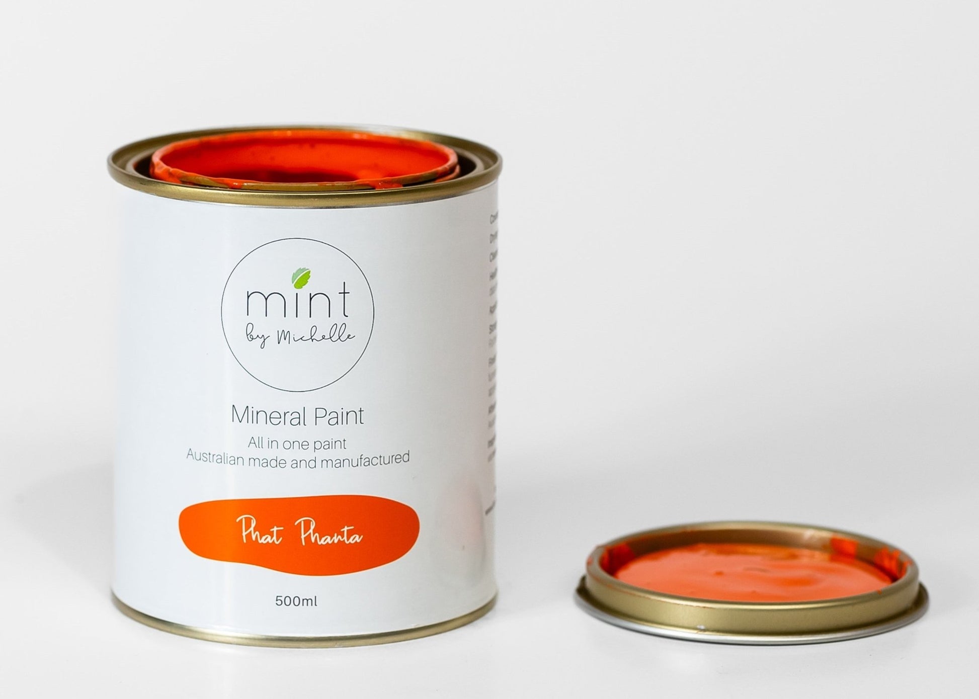 Mint Mineral Paint - Phat Phanta - 500ml - Rustic River Home