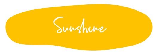 Mint Mineral Paint - Sunshine - 500ml - Rustic River Home