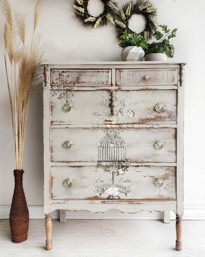 Redesign Decor Transfer - La Voliere - 24"x35" - Rustic River Home