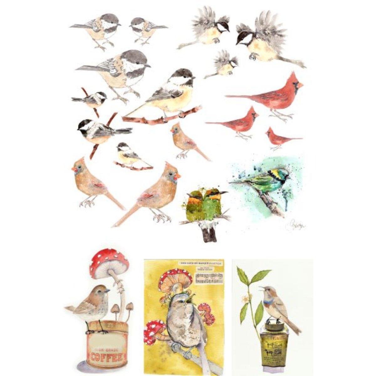 Roycycled Treasures - Catalogue of Birds Decoupage Paper - 20x30in - Rustic River Home
