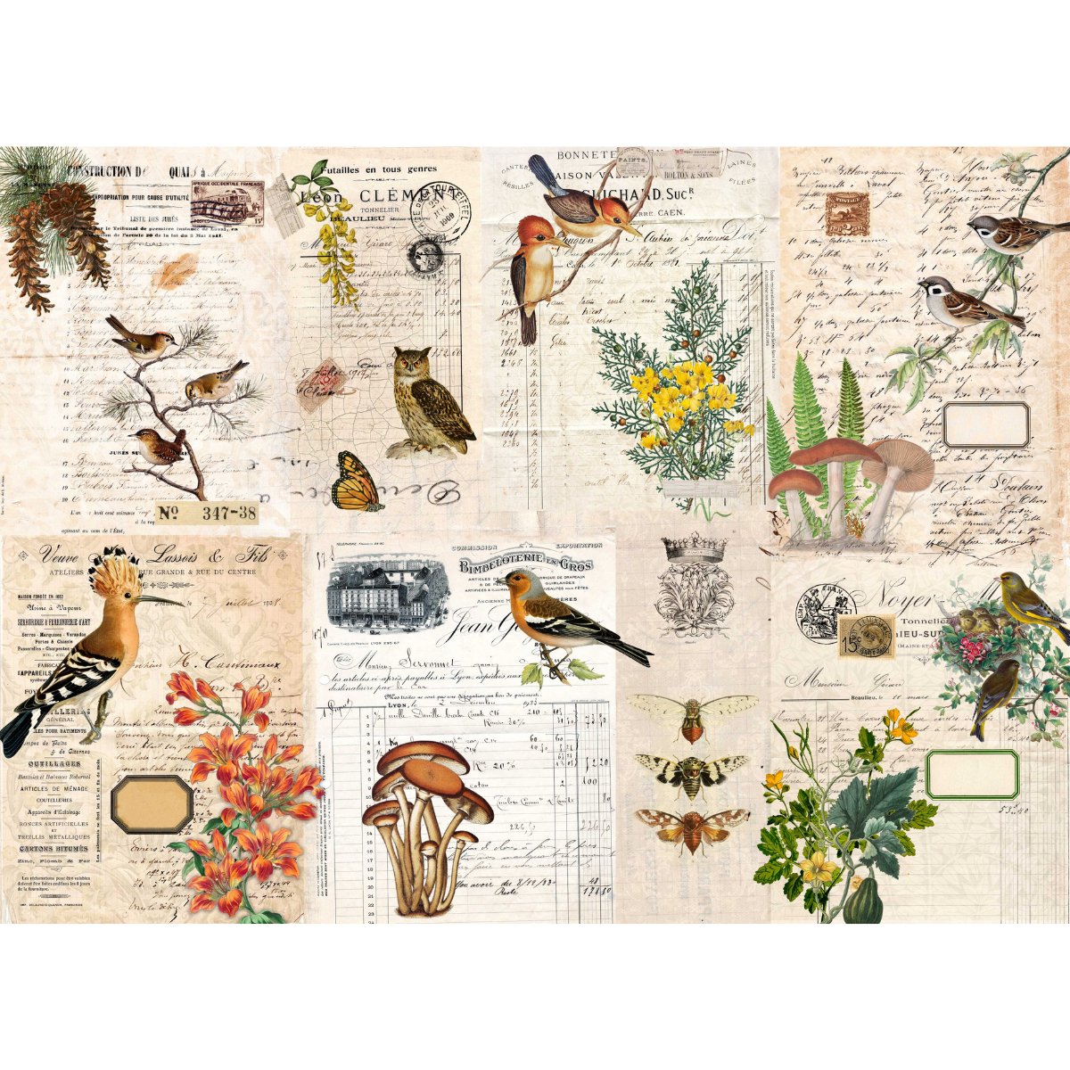 Roycycled Treasures - Fall Botanical Project Blocks Decoupage Paper - 20x30in - Rustic River Home