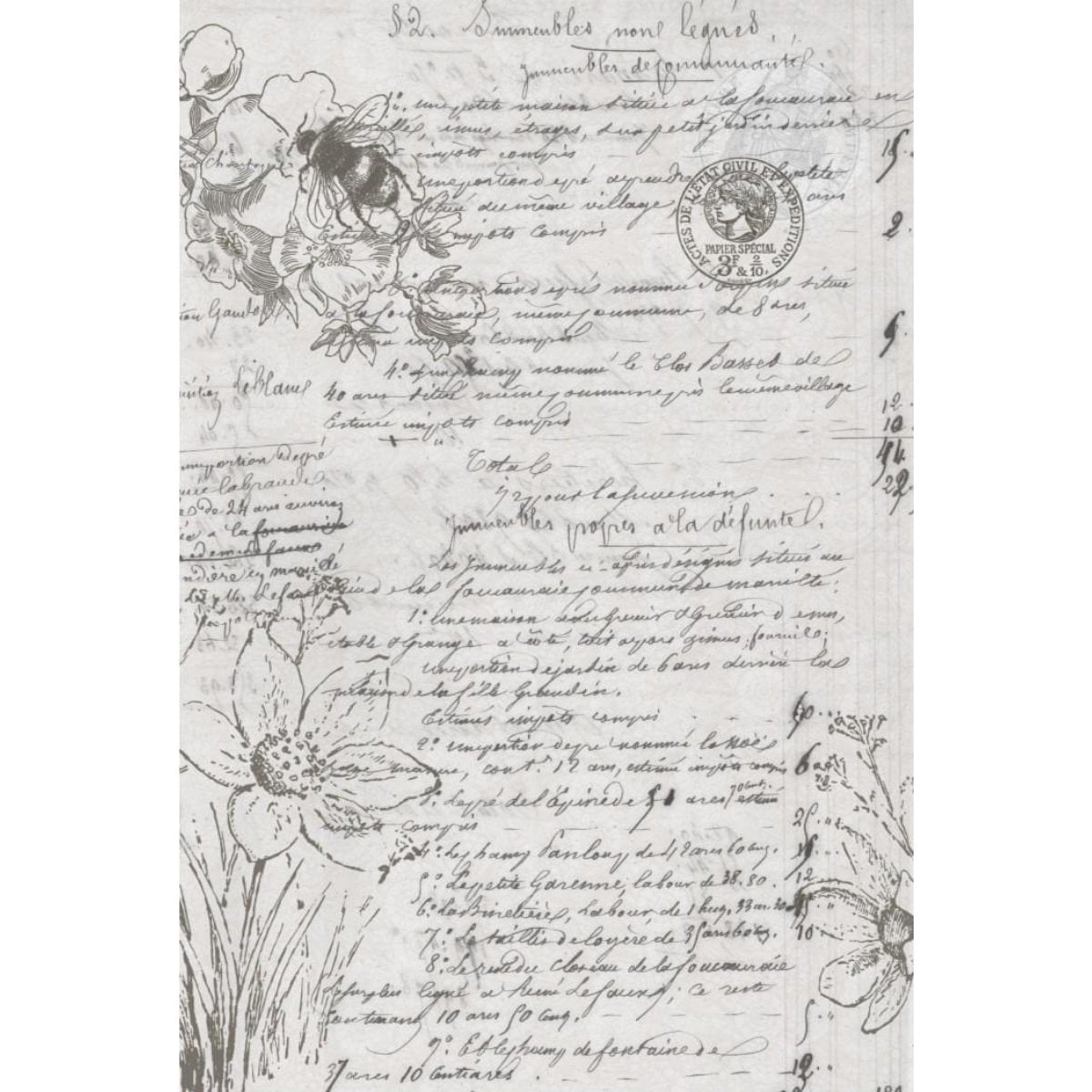 Roycycled Treasures - Natural History Decoupage Paper - 20 x 30 in - Rustic River Home