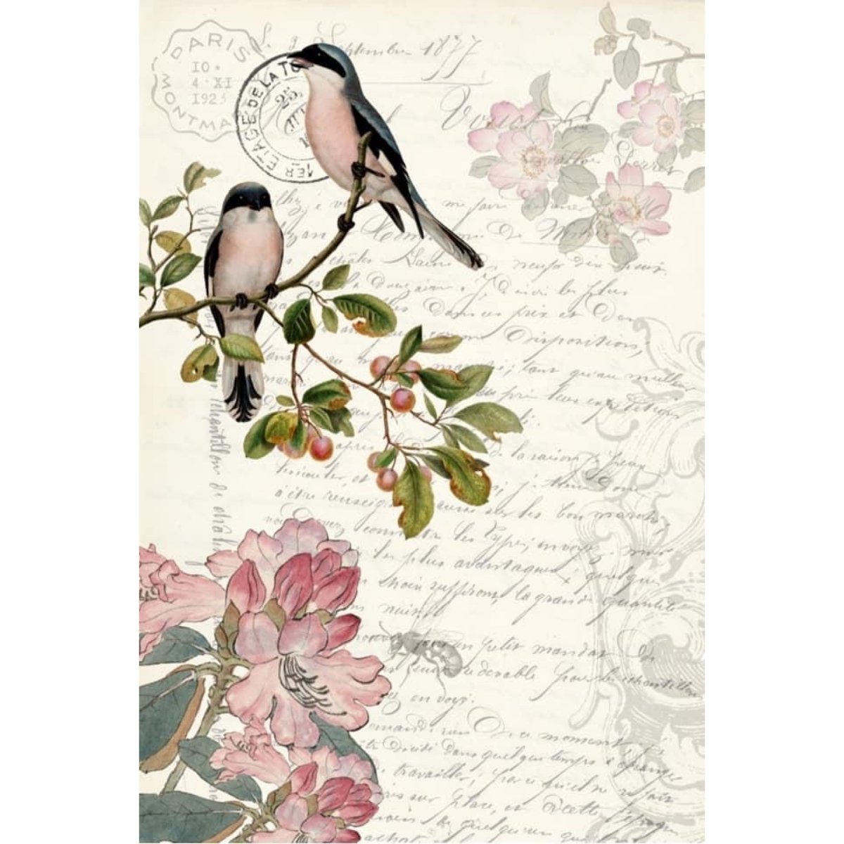 Roycycled Treasures - Spring Bird Decoupage Paper - 20 x 30 in - Rustic River Home